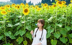 亚洲乱妇老熟女爽到高潮的片